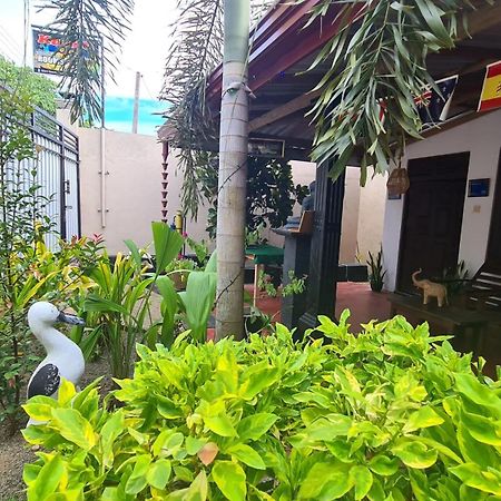 Kavidi Villa Home Stay 坦加拉 外观 照片